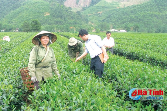 Bàn tay ta làm nên tất cả... ảnh 1