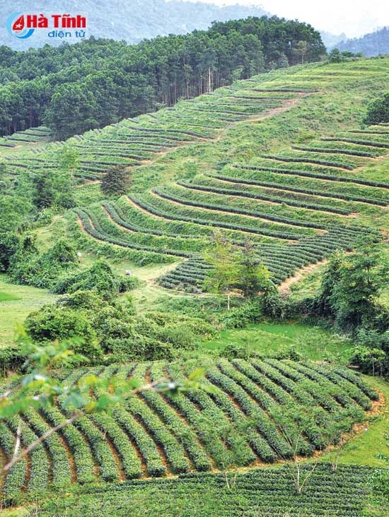 Bàn tay ta làm nên tất cả... ảnh 2