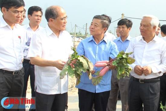 Phát huy truyền thống quê hương, xây dựng Hà Tĩnh phát triển nhanh, bền vững ảnh 4 Phát huy truyền thống quê hương, xây dựng Hà Tĩnh phát triển nhanh, bền vững ảnh 4