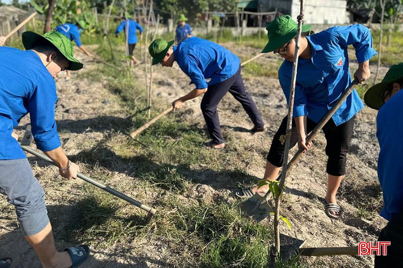 Đội Tình nguyện Đồng hương Hà Tĩnh của Đại học Ngoại thương hỗ trợ xây dựng nông thôn mới tại xã Cẩm Trung. a450305341_932608122240401_5833130605346851442_n.jpg
