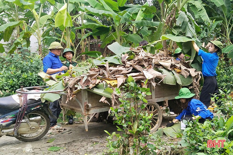 Đội SVTN đồng hương Nghệ Tĩnh tại Học viện Ngân hàng hỗ trợ người dân khắc phục hậu quả thiên tai tại xã Sơn Hồng. bqbht_br_ash.jpg