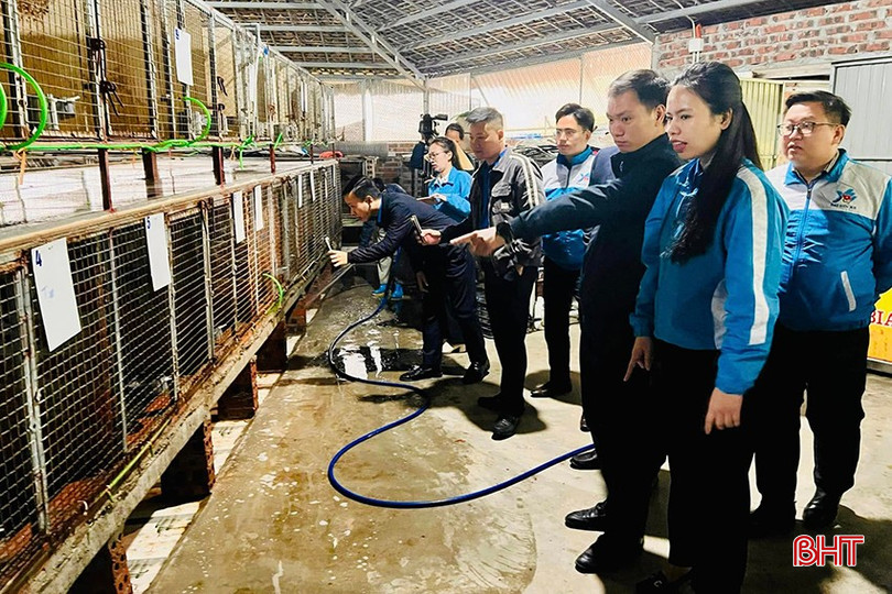 Đoàn đại biểu Trung ương Đoàn tham quan mô hình nuôi chồn của HTX Thanh niên Thành Sen. bqbht_br_ahtx-thanh-sen.jpg