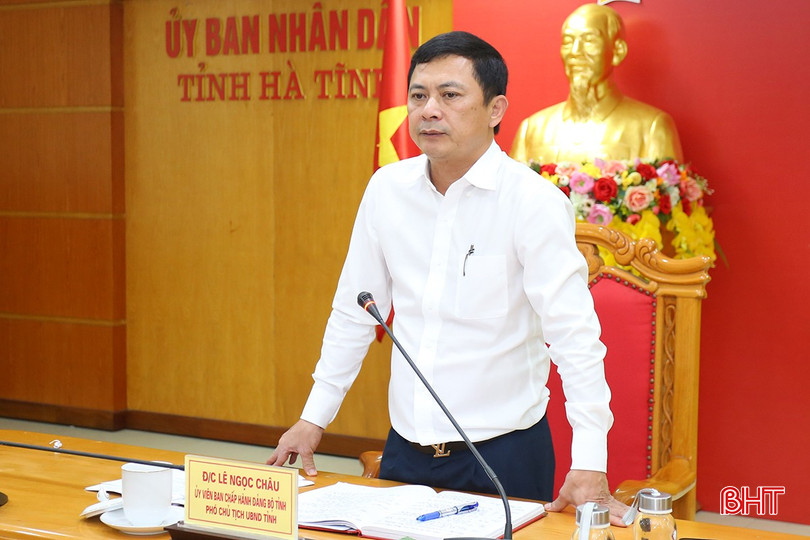Phó Chủ tịch UBND tỉnh Lê Ngọc Châu kết luận cuộc họp. bqbht_br_aimg-5489.jpg