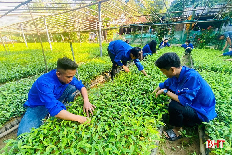 ĐVTN huyện Hương Khê xây dựng vườn ươm thanh niên. ahk-4264.jpg