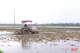 Nông dân Đức Quang phấn khởi vào mùa vụ mới