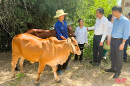 Trao hỗ trợ mô hình sinh kế cho hộ nghèo, cận nghèo ở Đức Thọ