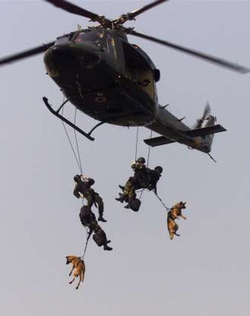 hình ảnh ấn tượng về việc huấn luyện quân đội trên thế giới hình 12 Hình ảnh ấn tượng về huấn luyện quân đội trên thế giới