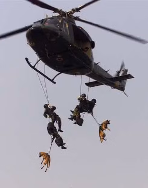 Hình ảnh ấn tượng về huấn luyện quân đội trên thế giới