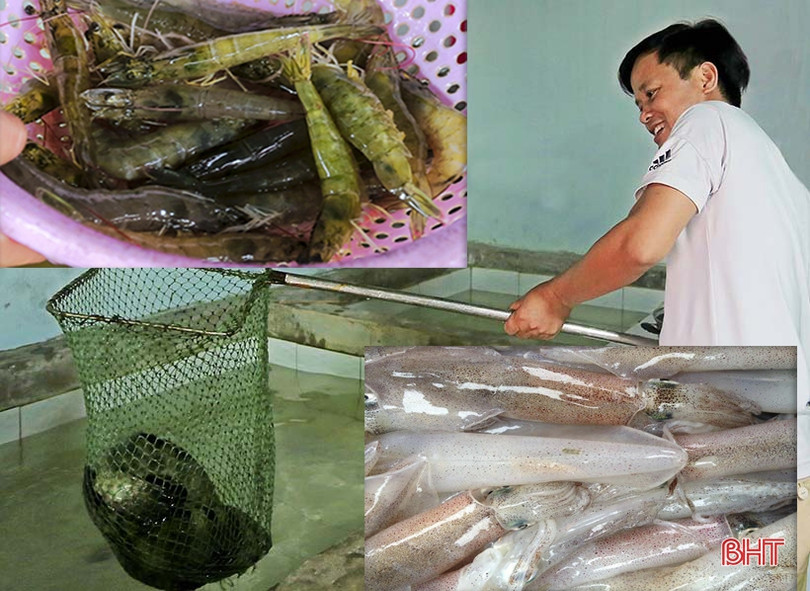 Bãi biển Kỳ Ninh đẹp “hút hồn” trước ngày khai trương mùa du lịch 2019