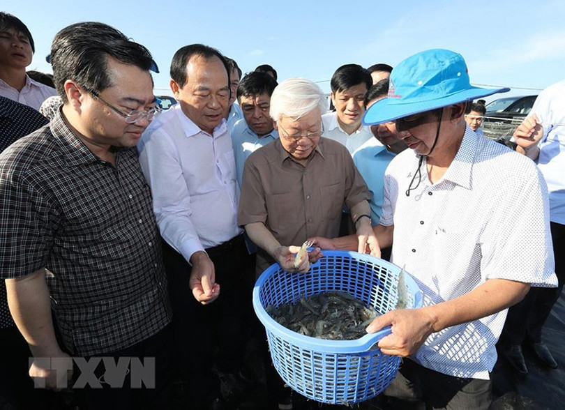 Hình ảnh Tổng Bí thư, Chủ tịch nước làm việc ở Kiên Giang