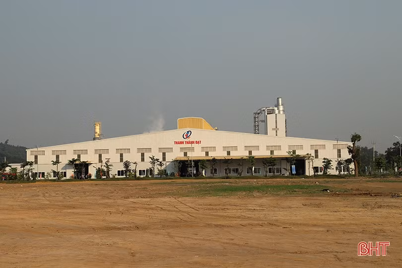 Khánh thành nhà máy sản xuất gỗ gần 1.500 tỷ đồng tại Hà Tĩnh