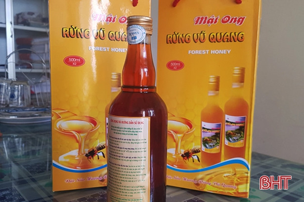 Nông dân Vũ Quang ước thu 60 tấn mật ong, “bỏ túi” 10 tỷ đồng