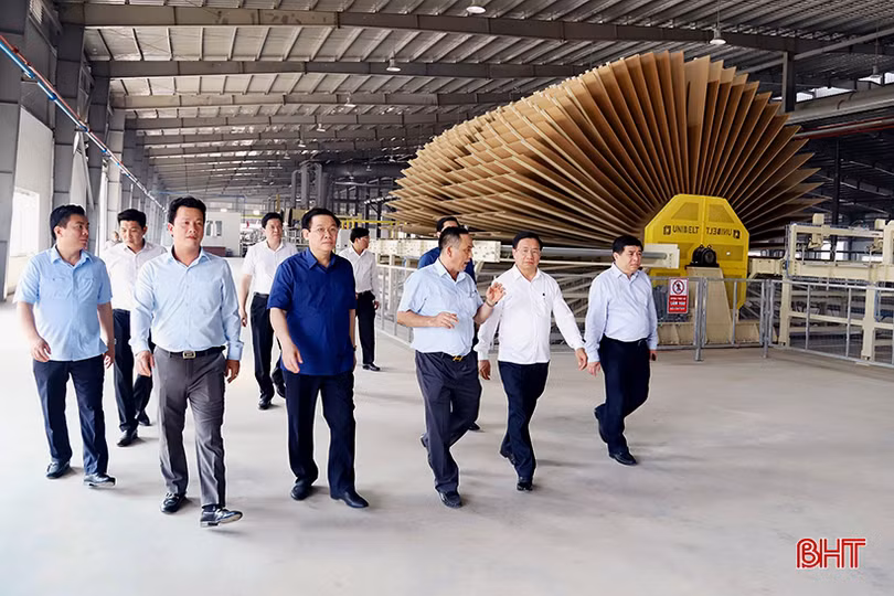 Khánh thành nhà máy sản xuất gỗ gần 1.500 tỷ đồng tại Hà Tĩnh