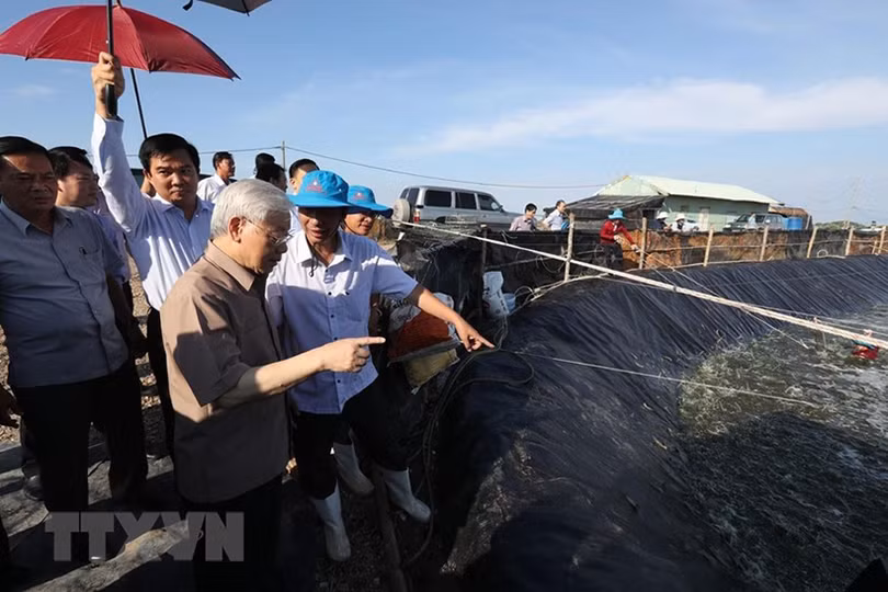 Hình ảnh Tổng Bí thư, Chủ tịch nước làm việc ở Kiên Giang