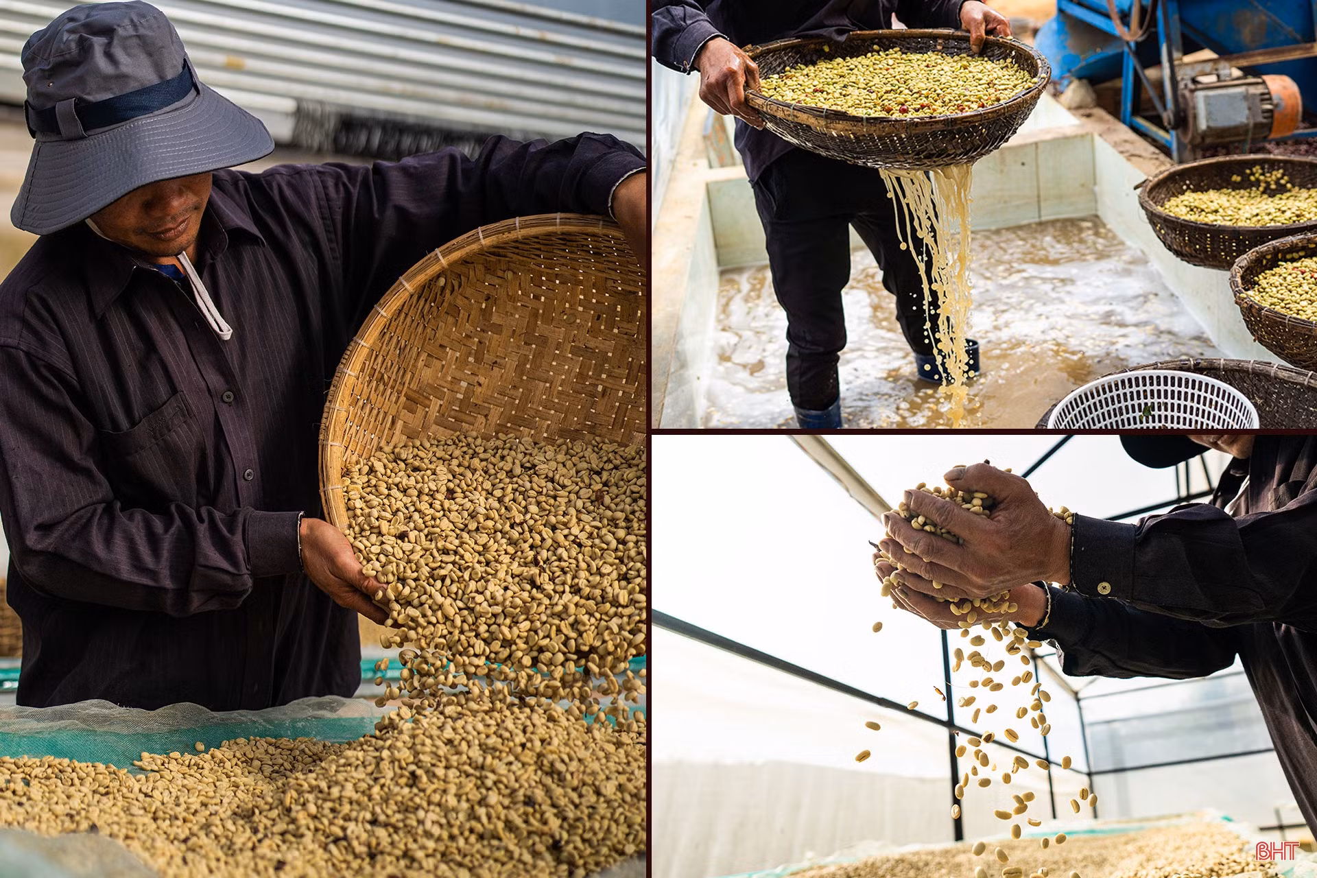 CEO Shin Coffee quê Hà Tĩnh: “Ước mơ của bạn càng lớn, bạn sẽ càng kết nối được với những nguồn lực mạnh”