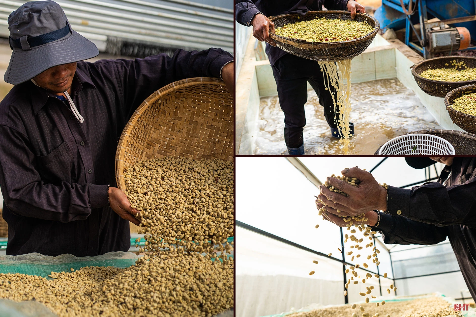 CEO Shin Coffee quê Hà Tĩnh: “Ước mơ của bạn càng lớn, bạn sẽ càng kết nối được với những nguồn lực mạnh”