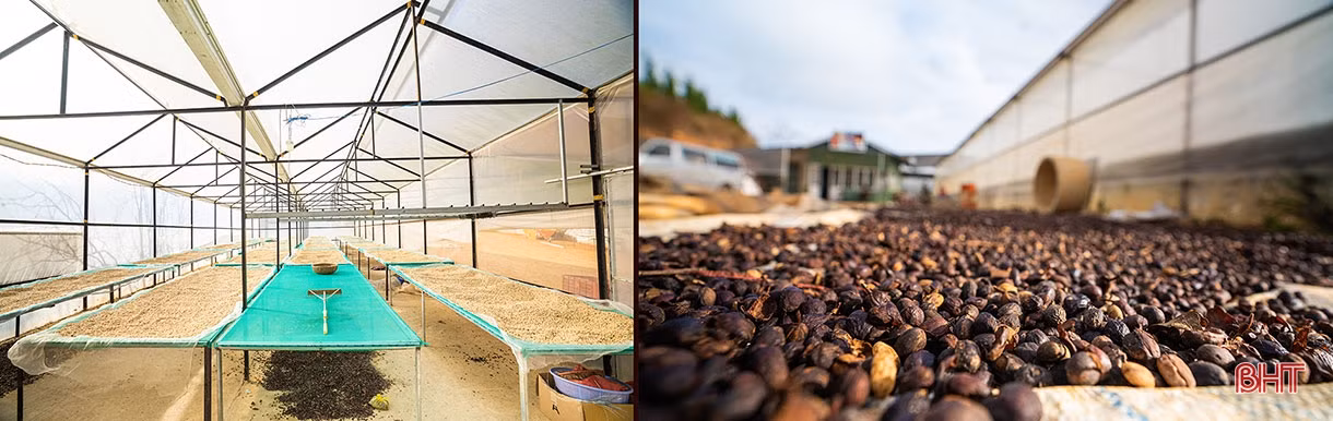 CEO Shin Coffee quê Hà Tĩnh: “Ước mơ của bạn càng lớn, bạn sẽ càng kết nối được với những nguồn lực mạnh”