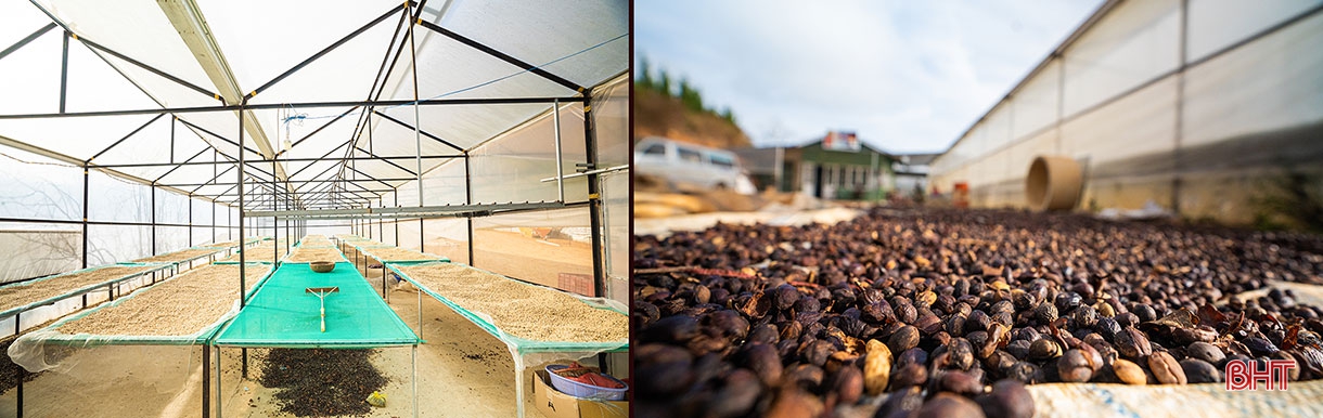 CEO Shin Coffee quê Hà Tĩnh: “Ước mơ của bạn càng lớn, bạn sẽ càng kết nối được với những nguồn lực mạnh”