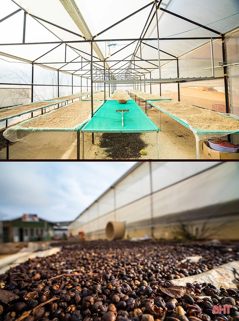 CEO Shin Coffee quê Hà Tĩnh: “Ước mơ của bạn càng lớn, bạn sẽ càng kết nối được với những nguồn lực mạnh”