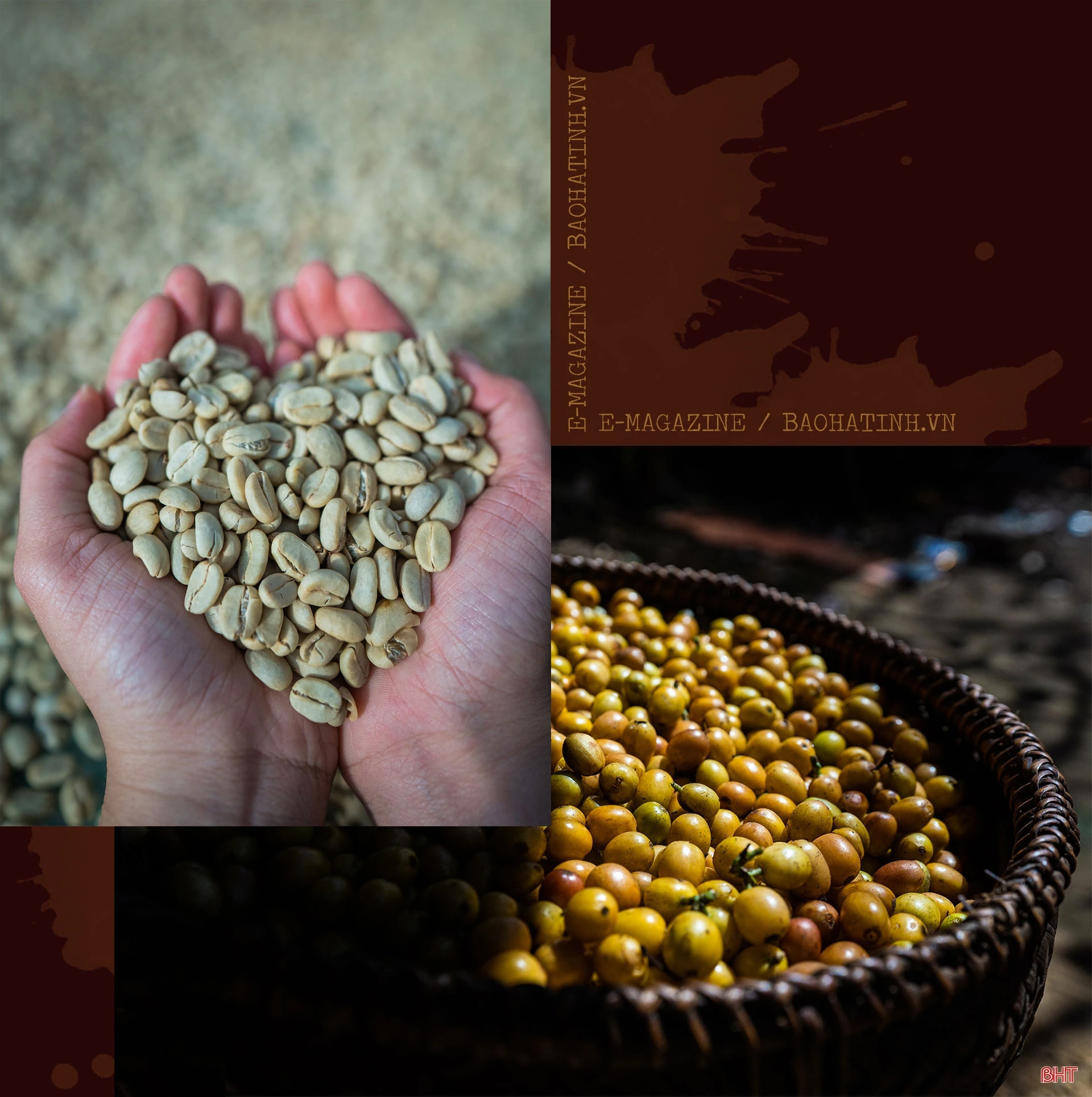 CEO Shin Coffee quê Hà Tĩnh: “Ước mơ của bạn càng lớn, bạn sẽ càng kết nối được với những nguồn lực mạnh”