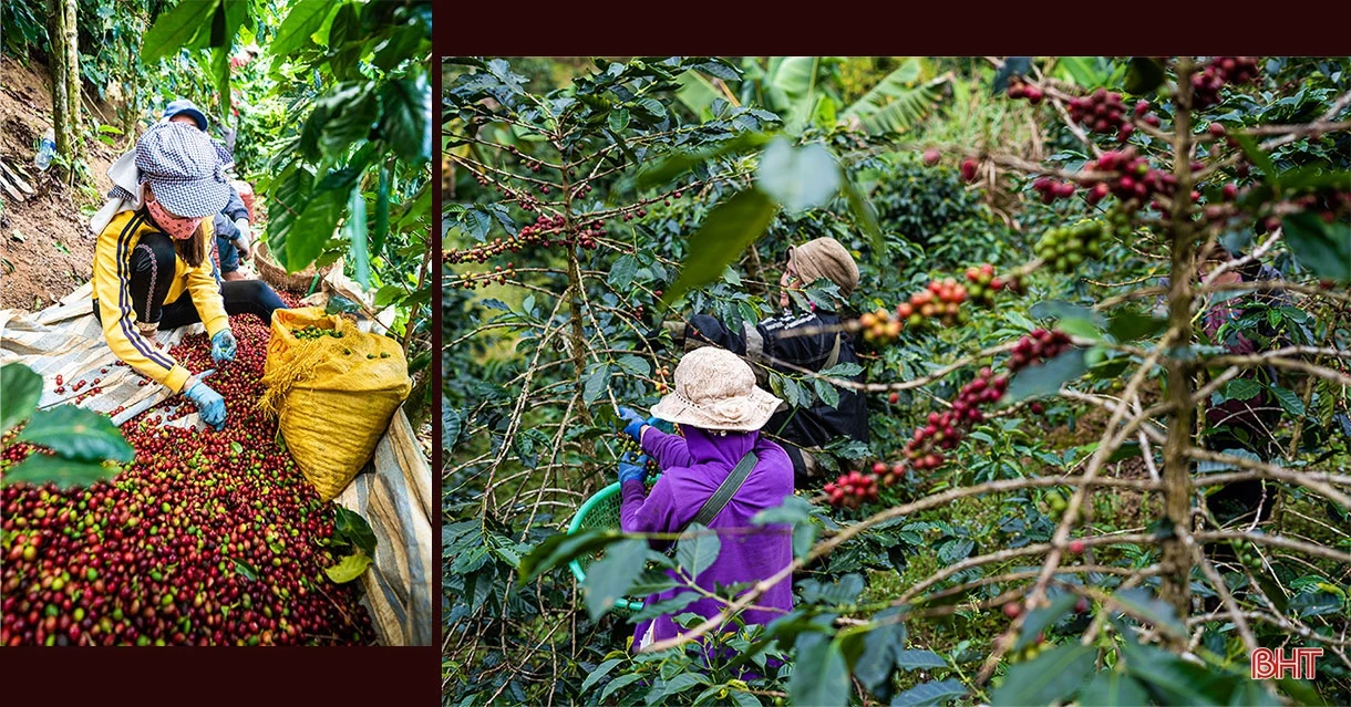 CEO Shin Coffee quê Hà Tĩnh: “Ước mơ của bạn càng lớn, bạn sẽ càng kết nối được với những nguồn lực mạnh”