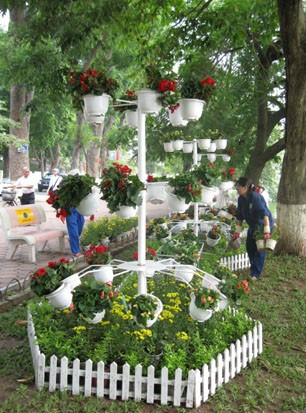 Hà Nội rực rỡ với những con đường hoa...