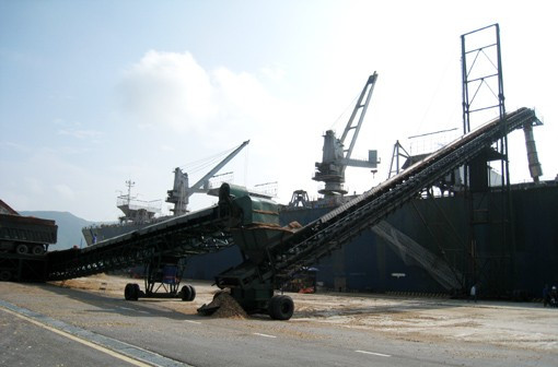 Xuất khẩu gỗ băm dăm tại cảng Vũng Áng