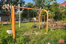 Giữ không gian xanh đô thị, cần sự chung tay của cộng đồng