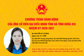 Chương trình hành động của ứng cử viên đại biểu HĐND tỉnh khóa XIX Nguyễn Ny Hương