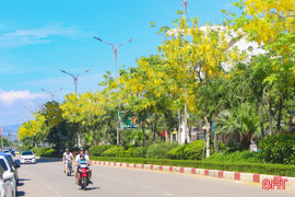 Thành Sen - mùa hoa gọi nắng