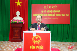 Phó Bí thư Thường trực Tỉnh ủy bỏ phiếu bầu cử tại phường Thành Sen