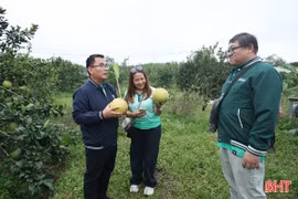 Đoàn công tác Trường Đại học Kasetsart giao lưu văn hóa tại xã Hà Linh