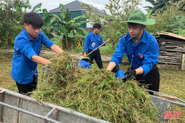 Một mùa hè xanh - nhiều dấu ấn đẹp