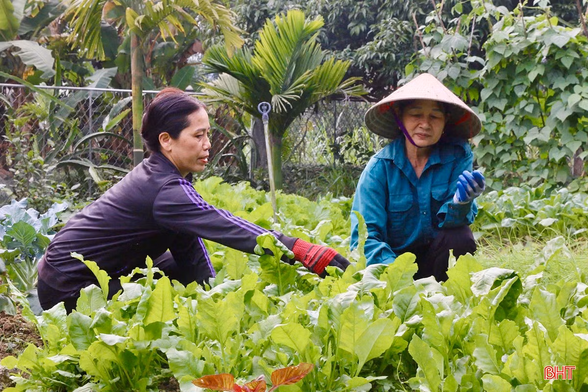 Người dân xã Thọ Điền đang tập trung chỉnh trang khu dân cư, vườn hộ.