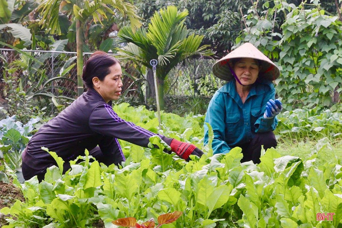 Người dân xã Thọ Điền đang tập trung chỉnh trang khu dân cư, vườn hộ.