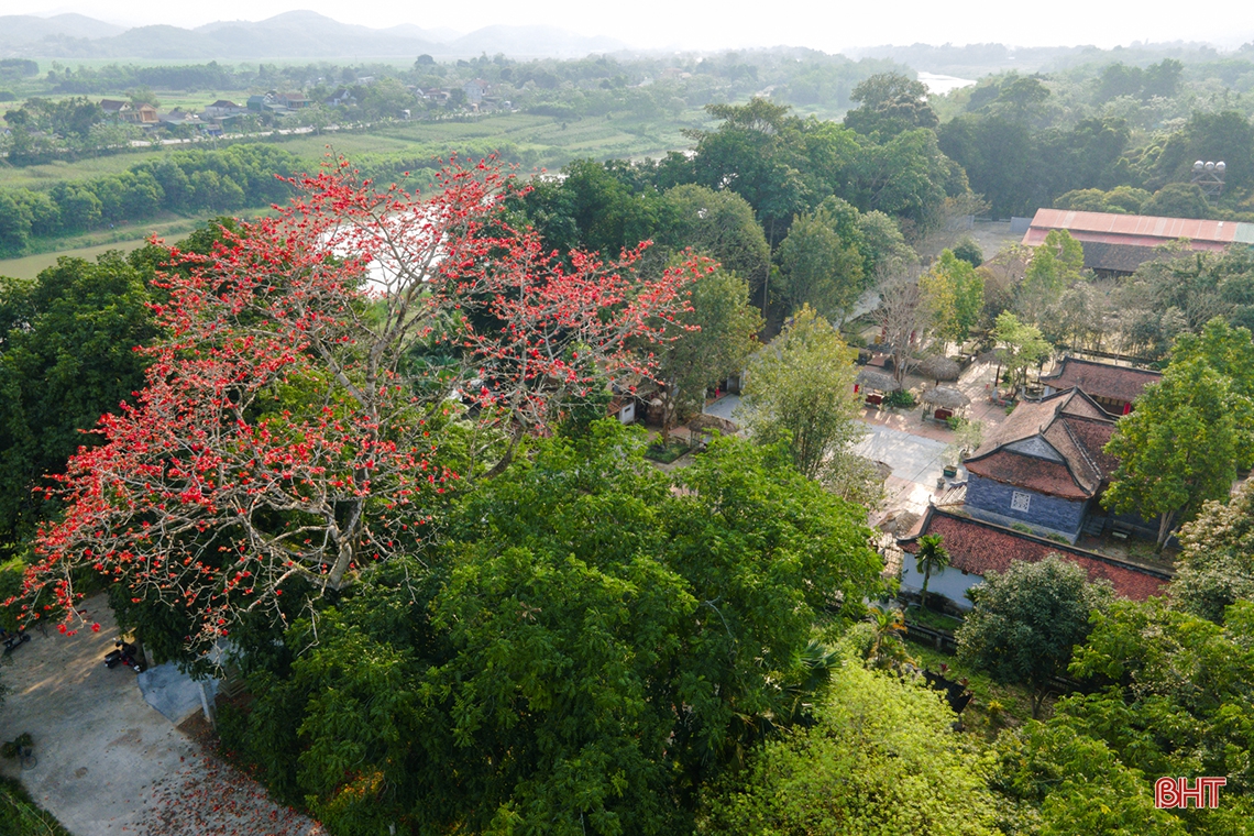 Hương sắc tháng Ba trên những miền quê Hà Tĩnh