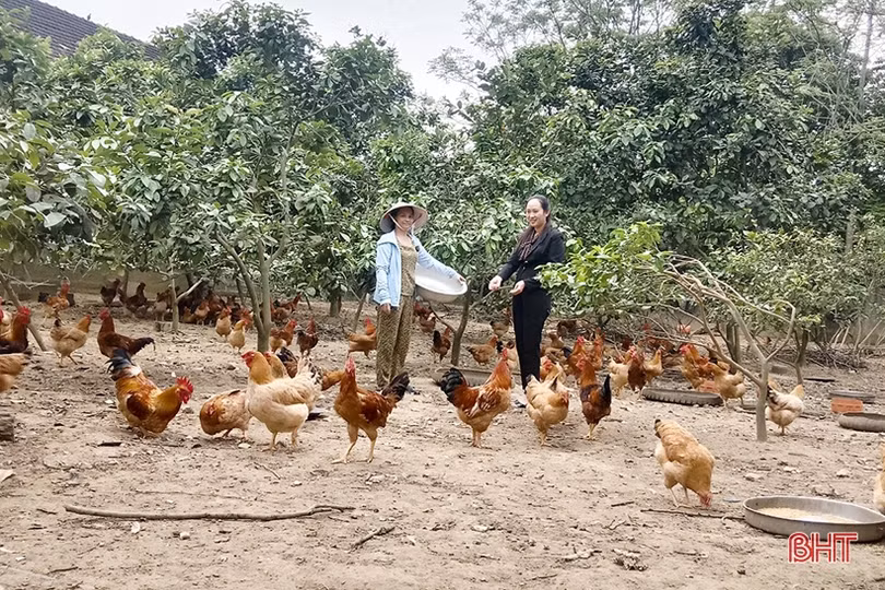 Đức Thọ phát huy vai trò các hội, đoàn thể trong công tác giảm nghèo