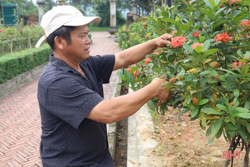 Chỉnh trang Khu lưu niệm Hải Thượng Lãn Ông Lê Hữu Trác