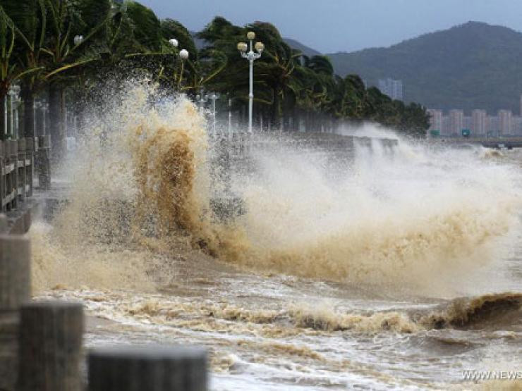 Khả năng xuất hiện bão số 6, bão số 7 trên biển Đông