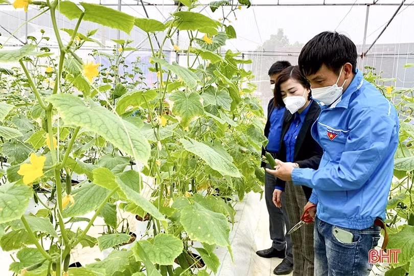 Đức Thọ phát huy vai trò các hội, đoàn thể trong công tác giảm nghèo