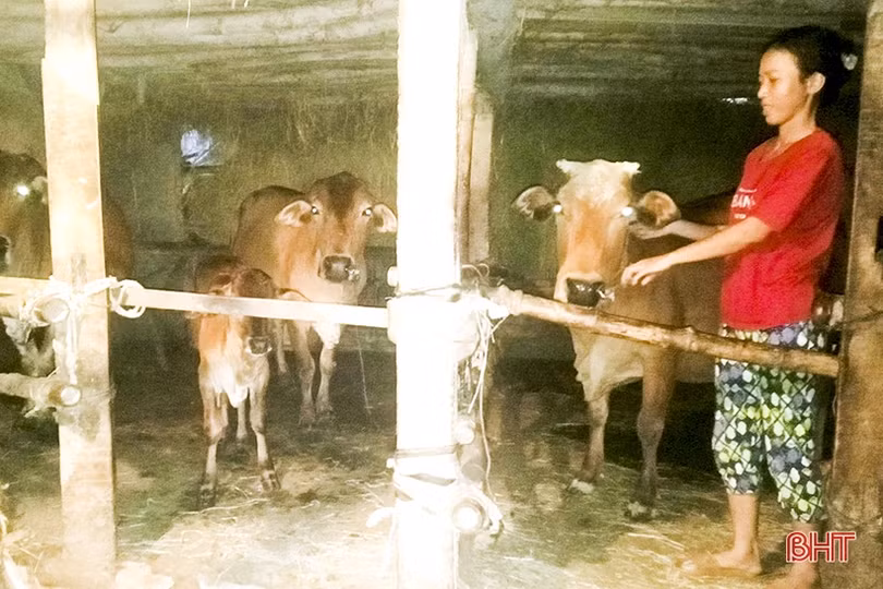 Đức Thọ phát huy vai trò các hội, đoàn thể trong công tác giảm nghèo