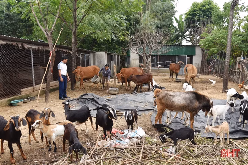 “Chìa khóa” mở cánh cửa thoát nghèo bền vững cho nông dân Lộc Hà