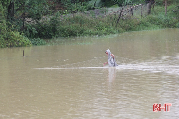 Liều mạng đánh cá trong mưa lũ!