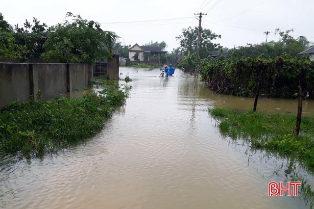 Hơn 2.300 ha lúa hè thu và rau màu ở Đức Thọ bị ngập úng