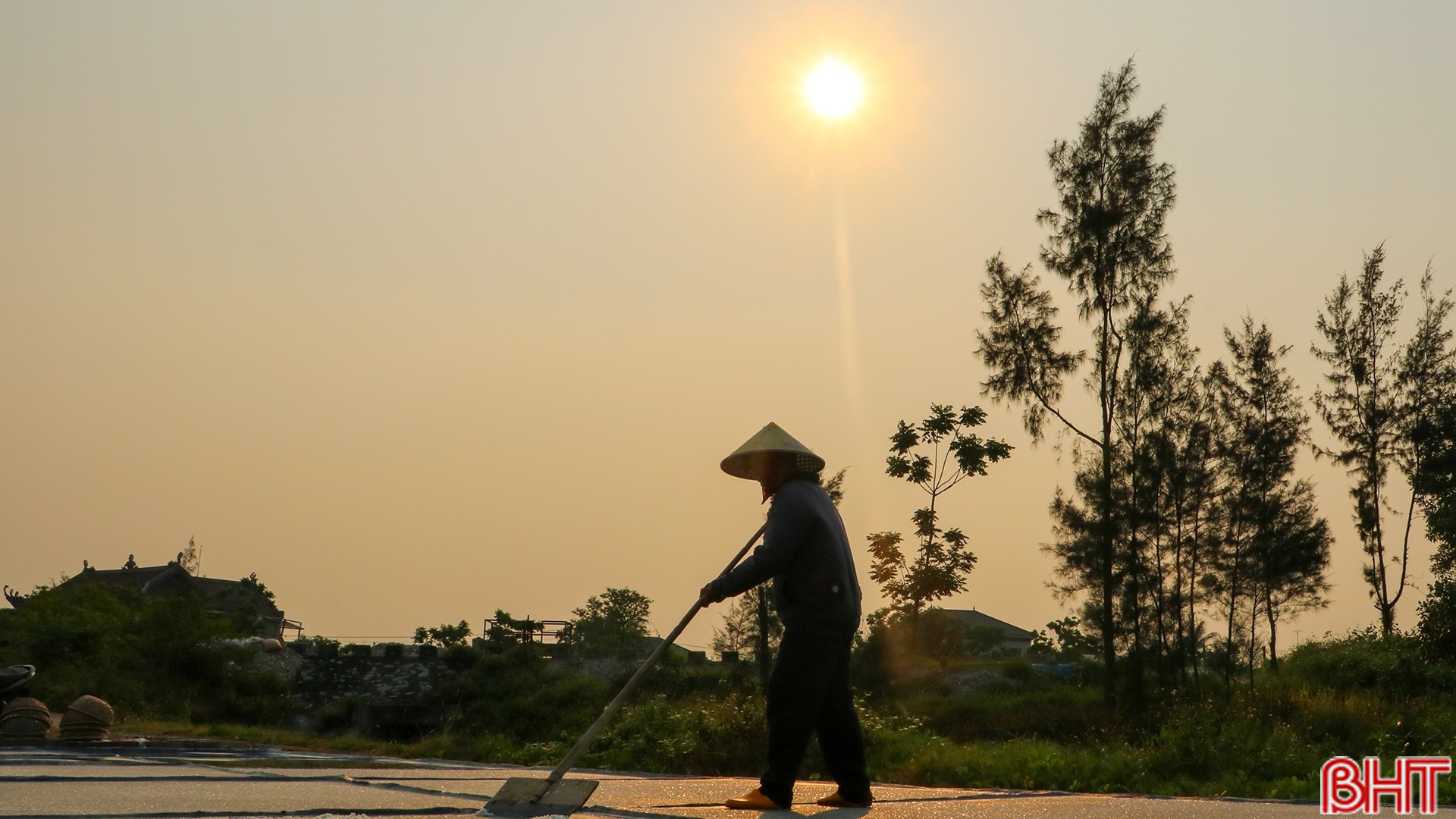 Người trốn nắng gắt, tôi trông nắng vàng