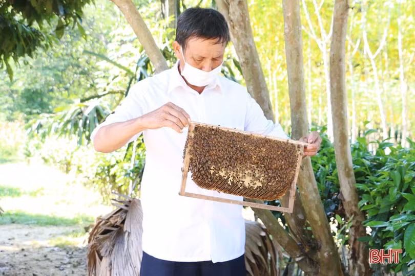 “Sân chơi” bổ ích cho người dân miền núi Vũ Quang