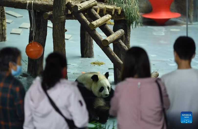 Không khí đón tết Trung thu ở một số nước