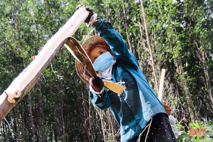 “Quê mình giữa niềm thương”