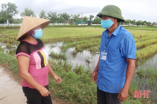 Ốc bươu đen mở ra cơ hội khởi nghiệp mới cho người dân Tượng Sơn