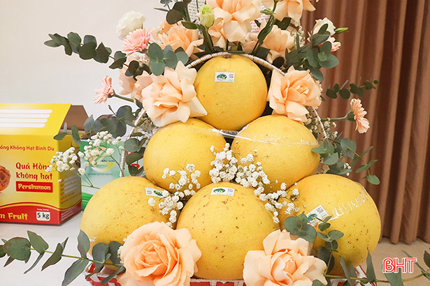 Hà Tĩnh đánh giá, phân hạng 31 sản phẩm OCOP đợt 1 năm 2021